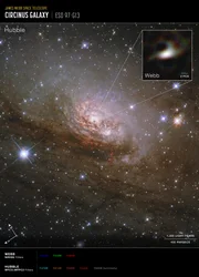 Galassia Circinus (immagine della bussola di Hubble e Webb)  