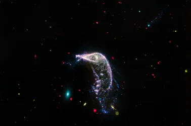Galassie interagenti Arp 142 (solo MIRI)