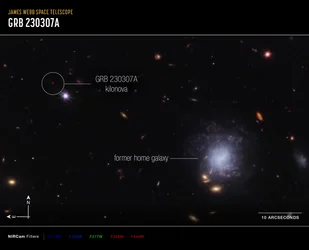 Kilonova e galassia ospite