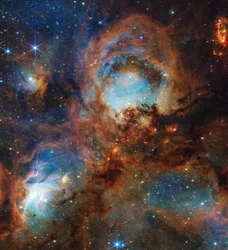 Il telescopio Webb della NASA va oltre la superficie di Cat