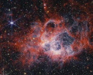 Sbirciando tra i viticci di NGC 604 con il telescopio Webb della NASA