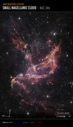 Dischi protoplanetari in NGC 346 (immagine NIRCam Compass)