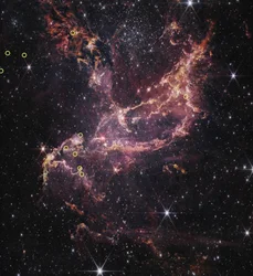 Dischi protoplanetari in NGC 346 (immagine NIRCam)