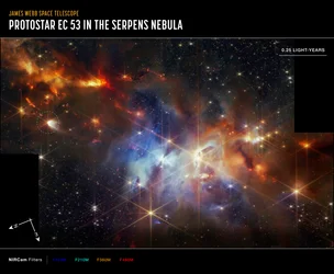 La protostella EC 53 nella Nebulosa del Serpente (immagine NIRCam Compass)