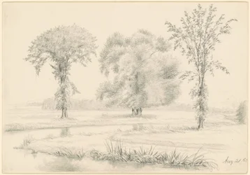 Paesaggio con Tre Alberi