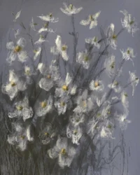 Fiori bianchi da sogno
