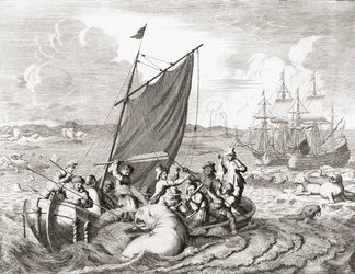 Cacciatori di trichechi nel XVI secolo (incisione)