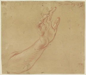Studio di un braccio destro