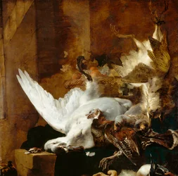 Natura morta con cigno morto