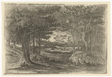 Paesaggio boschivo con cinque pecore