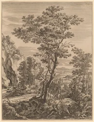 Il Grande Albero