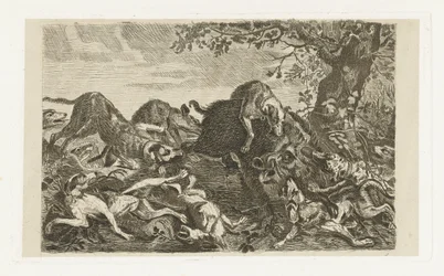 Caccia al cinghiale con cani