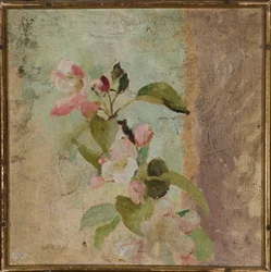 Fiori di melo