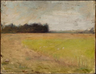 Paesaggio dalla Finlandia