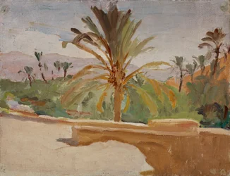 Biskra (Oasi con palme)