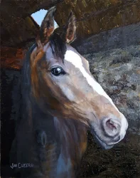 Cavallo nella luce della stalla