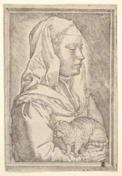 Ragazza con un gatto, 1546