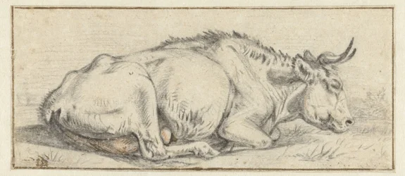 Mucca sdraiata