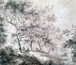 Un gruppo di alberi al bordo dell