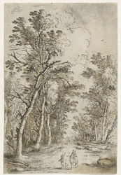 Sentiero nel bosco