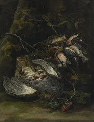 Una pernice e piccoli uccelli selvatici, 1650s