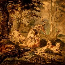 Caccia alla volpe
