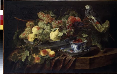 Natura morta con frutta e pappagallo