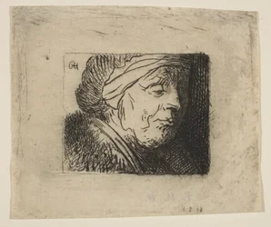 Testa di una vecchia donna