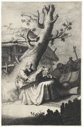 San Girolamo che legge sotto un albero