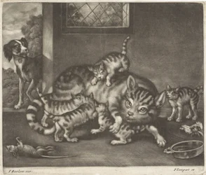 Gatto con cinque cuccioli