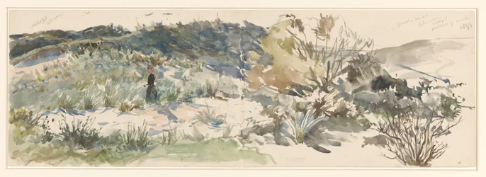 Paesaggio dunale
