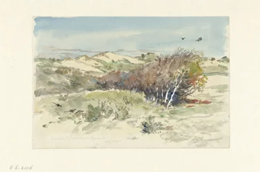 Paesaggio dunale tra Bloemendaal e IJmuiden