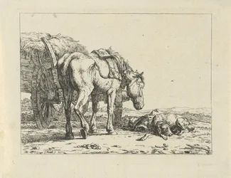 Cavallo e cane vicino a un carro di fieno