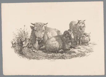 Mucca, ariete e due pecore (serie Studi di animali di J. Kobell da Paul Potter Nr. 1)