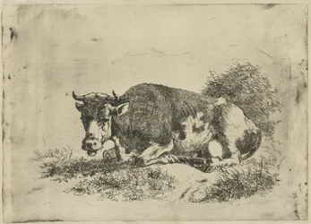 Mucca sdraiata