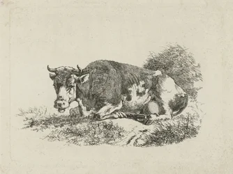 Mucca sdraiata