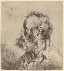 Busto di un vecchio barbuto