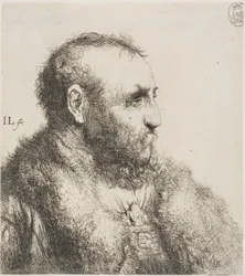 Busto di un vecchio