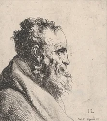 Busto di un Vecchio