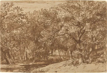 Parco dei cervi