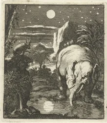 Lepre ed elefante con luna piena presso una sorgente