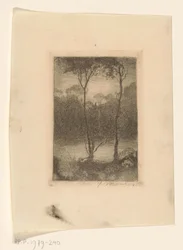 Due alberi sull