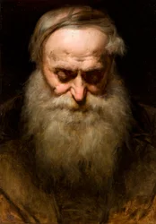 Testa di un vecchio con barba grigia