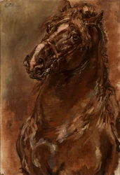 Studio di una testa di cavallo per "La Vergine d