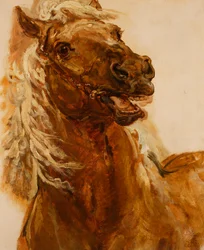 Studio di una testa di cavallo per il dipinto "Zamoyski a Byczyna"