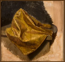 Tessuto dorato, studio per abito maschile