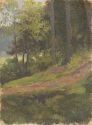 Sentiero al margine della foresta