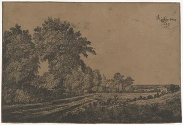 Strada di campagna con alberi