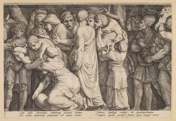 La punizione di Niobe (Piastra 7)