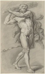 Ercole